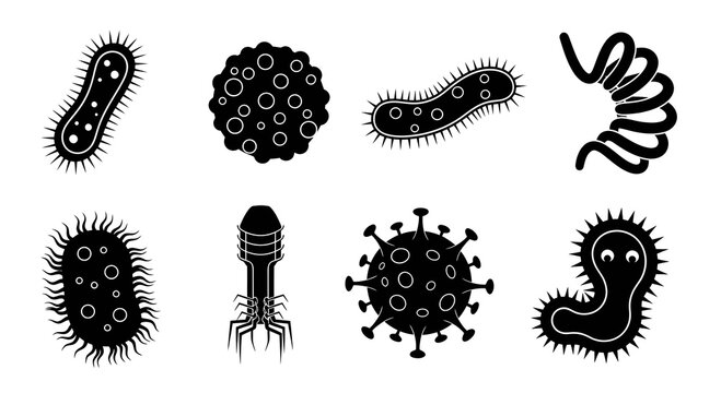 Collection of diverse black and white microorganism icons on a white background, science and health concepts