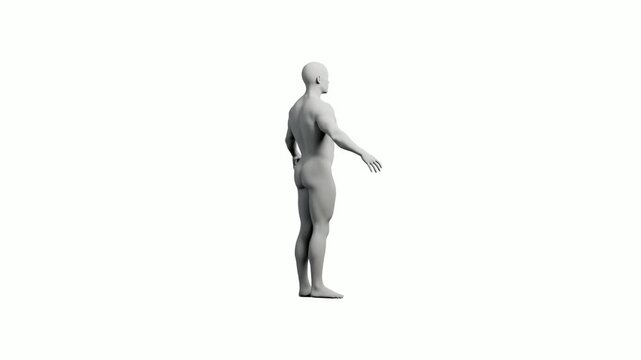 Mannequin figure standing on white background