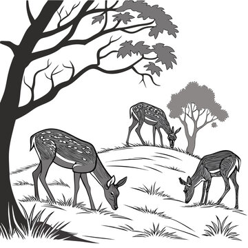 Three deer grazing in a forest grayscale vector illustration high quality