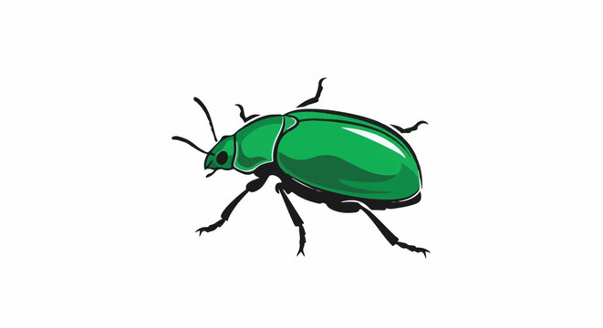 A shiny green beetle with black legs and antennae on a white background