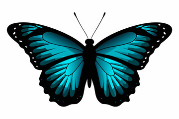 Blue morpho butterfly illustration on a white background © Esmi