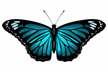 Blue morpho butterfly illustration on white background © Esmi