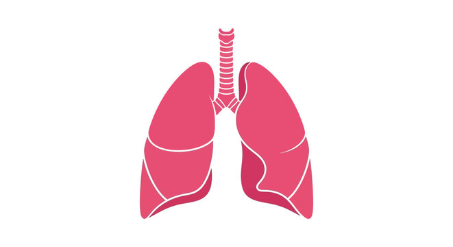 Medical illustration depicting the anatomy of human lungs for scientific or educational purposes