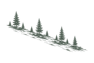 Obraz premium Pine Trees on a Sloping Hillside Composition, Hand Drawn Sketch Line Art Vector Illustration, Evergreen Forest Elements for Winter or Mountain Graphics.