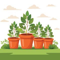 Fototapeta premium Illustrated plants in pots growing in a sunny garden against a white sky