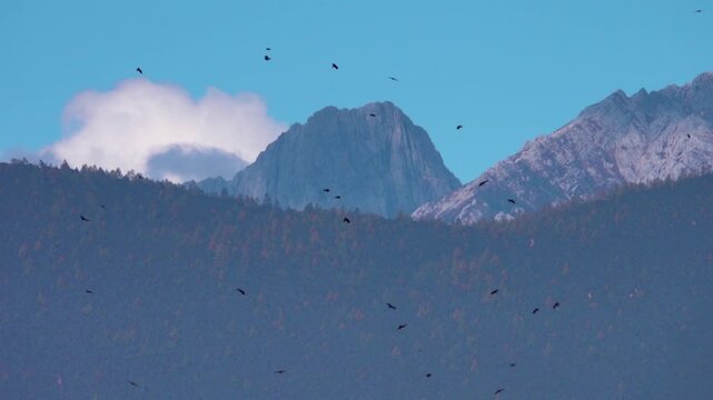 Unknown mysterious country of eternal youth of Shangri-La was invented by Europeans, but China renamed one of provinces of Tibet (Zhongdian) for sake of fashion tourists. Impossible. Choughs soars
