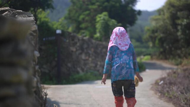 Village Scenery and Stone Wall Path - 청산도 마을 풍경과 돌담길