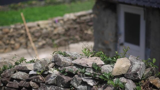 Village Scenery and Stone Wall Path - 청산도 마을 풍경과 돌담길