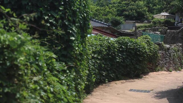 Village Scenery and Stone Wall Path - 청산도 마을 풍경과 돌담길