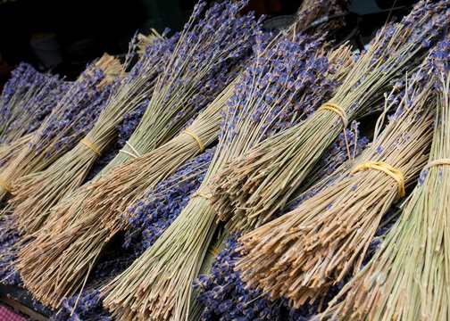 Dried lavender bundles at market