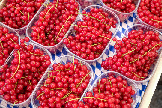 Red lingonberries in cartons at farmers market