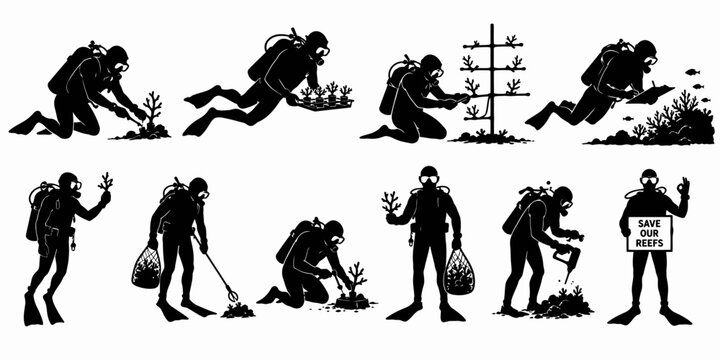 Scuba divers collecting seaweed and marine plants in ocean environment for research purposes underwater.