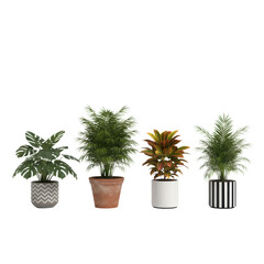 Fototapeta premium Four diverse houseplants in decorative ceramic and terracotta pots arranged in a line against a white studio background with soft shadows modern botanical aesthetic