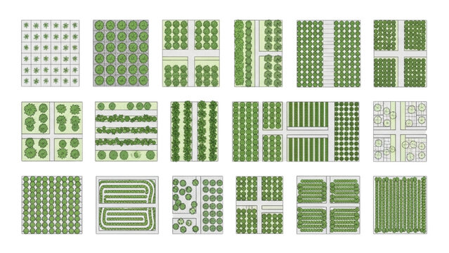 Agricultural field layout grid patterns top view, organized plantation rows and farm planning systems for landscape and site design