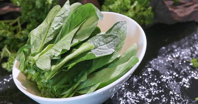 Fresh green spinach as a hot pot ingredient