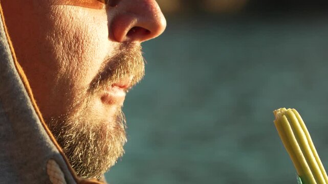 Man beard nature, bearded man in hoodie contemplating while chewing on a plant stem near water