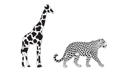 Obraz premium Black and white high-contrast illustrations of a giraffe and a leopard showing their distinct skin patterns.