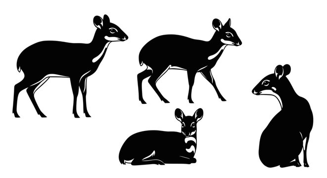 Multiple mouse deer (kancil) silhouettes in side profile, solid black shapes.