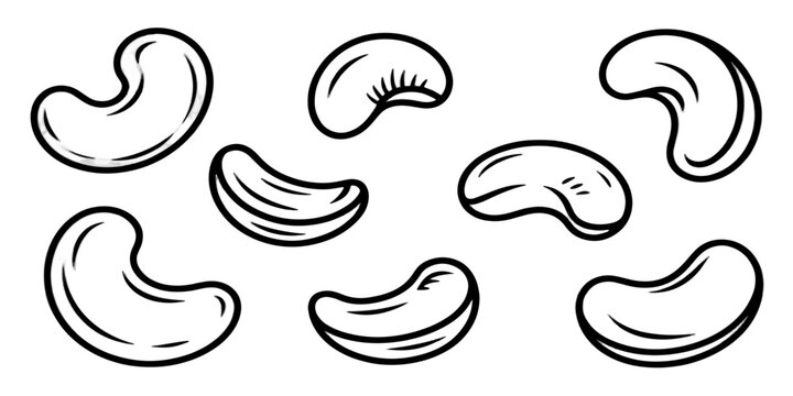 Abstract vector illustration set of cashew nut in seamless decorative pattern design