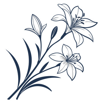 Rain Lily Botanical Vector Design