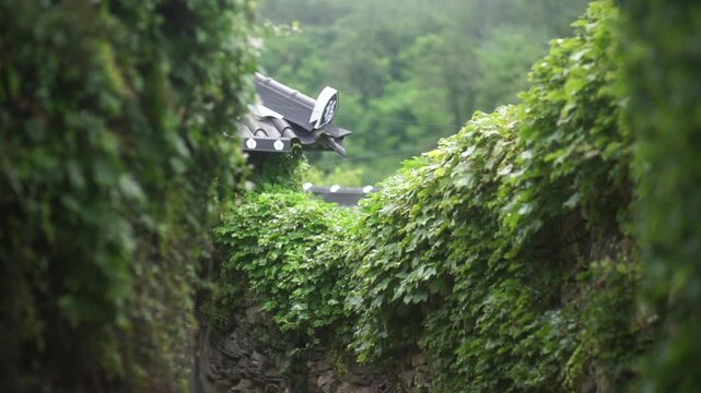 Traditional Stone Wall in Village - 청산도 마을의 전통 방식 돌담