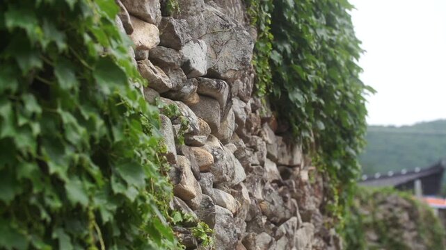 Traditional Stone Wall in Village - 청산도 마을의 전통 방식 돌담