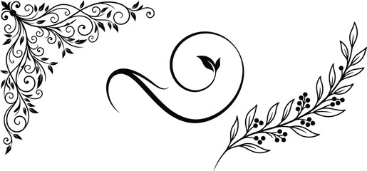Black floral decorative elements with leaves and berries on white background © Saidurra12