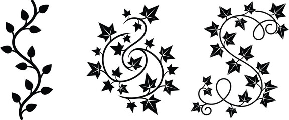 Black silhouettes of ivy vines with leaves on white background for design and decoration © Saidurra12