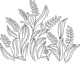 Fototapeta premium Hand Drawn Floral Line Art – Botanical Flower Outline Illustration