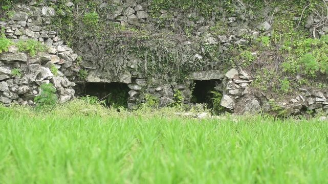 Structure of GIAHS Gudeuljangnon Rice Paddies - 세계중요농업유산 청산도 구들장 논 구조와 내부