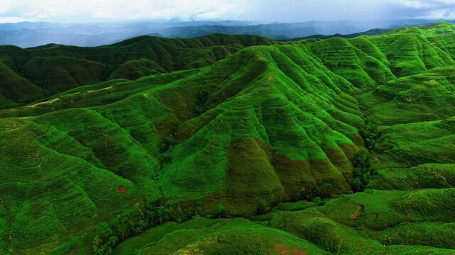 Majestic Rolling Savanna of Tanarara Hill under Blue Sky, East Sumba Landscape