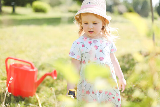 A little cute baby girl 3-4 years old in a dress watering the plants from a watering can in the garden. Kids having fun gardening on a bright sunny day. Outdoor activity children