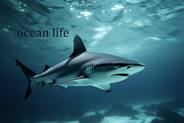 Obraz premium A shark swims in a deep ocean environment.