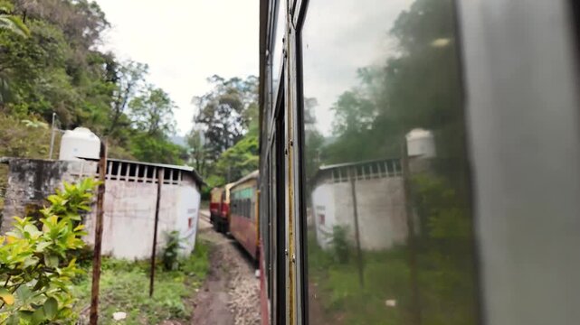 A train enters a dark tunnel amidst green surroundings.