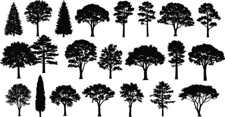 Fototapeta premium Collection of various tree silhouettes isolated on white background diverse forest and garden plant shapes set