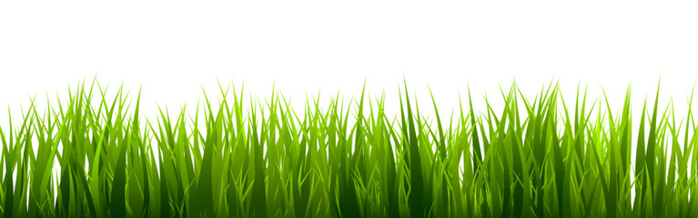 Fototapeta premium Meadow silhouette with green grass, plants on plain. Panoramic summer lawn landscape with herbs, various weeds. Herbal border, frame element. Black horizontal banners. Vector illustration