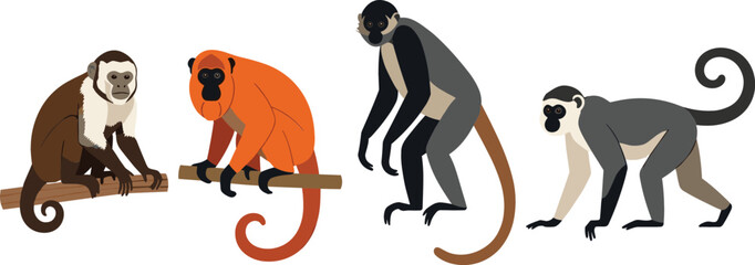 Collection of four different monkey species in flat vector style isolated on light background, wildlife primates illustration set with natural poses and colors © MdNazmul