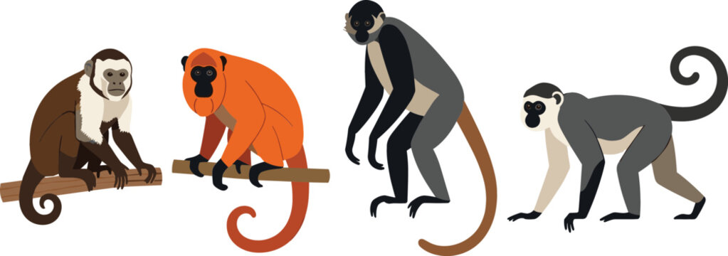 Collection of four different monkey species in flat vector style isolated on light background, wildlife primates illustration set with natural poses and colors