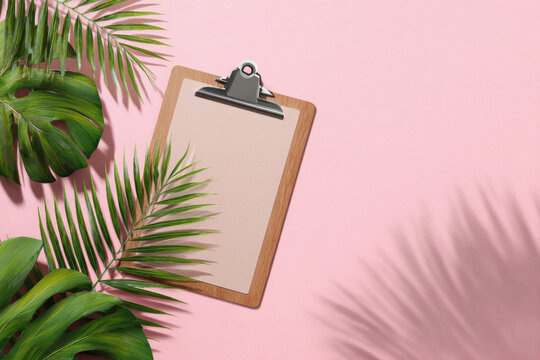 Stylish minimal composition with clip board and green leaves on a pink pastel background. Artwork mockup with copy space