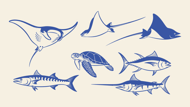 Vector illustration set of marine life including manta ray, sea turtle, tuna, and swordfish. Representing ocean biodiversity and nautical themes