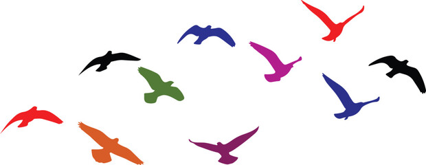 Colorful flock of stylized birds in flight against a plain background © Rs Rabbi
