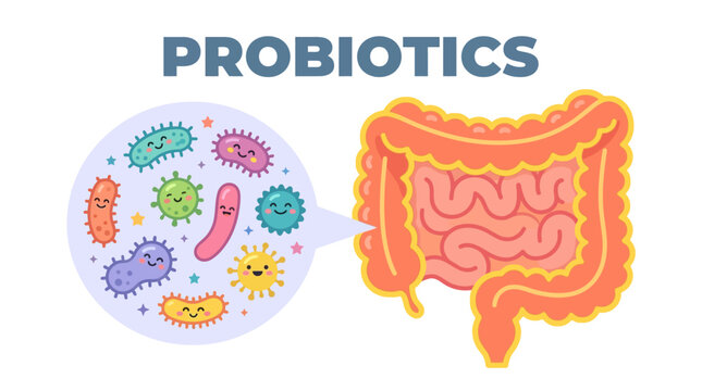 Illustration of probiotics concept with microorganisms entering the human gut