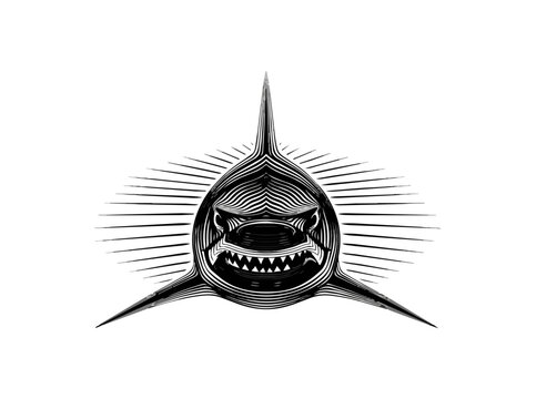 Stylized shark illustration in monochrome with dark background