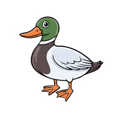 Obraz premium Cartoon Mallard Duck Standing Isolated on White Background Whimsical Bird Illustration