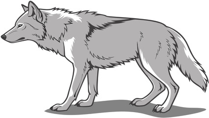 Fototapeta premium Wolf Silhouette Vector Illustration Isolated on White