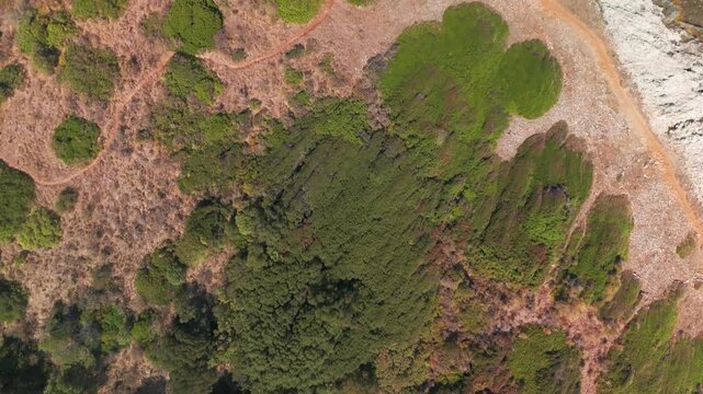 Top Down Drone Flight From Coastal Shrubland to Gialiskari Beach Turquoise Sea on Corfu Island