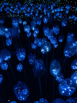 Glowing blue tulip light installation in dark garden with sparkling LED illumination and dreamy night atmosphere
