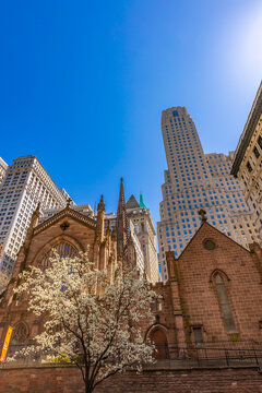 Serenity of Trinity Church amidst the urban skyline of New York City