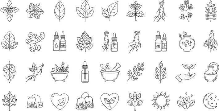 Herbal medicine and natural remedies icon set with plants, leaves, roots, essential oils and organic wellness outline vector collection
