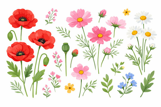 Watercolor Wildflower Set Featuring Summer Blooms with Red Poppies, Pink Cosmos, White Chamomiles, and Blue Forget-me-nots. Delicate Hand-Painted Botanical Floral Illustration Vector Elements.